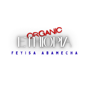 Ethiopia Feyisa Abamecha